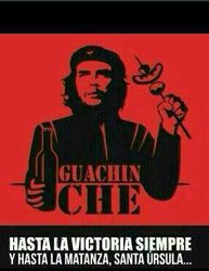 Guachin-Che-250.jpg